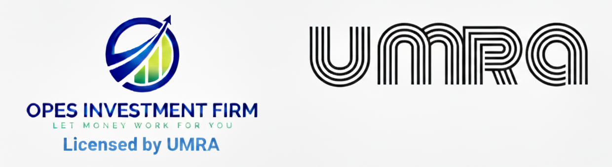 Gemini_Generated_Image_rz1imwrz1imwrz1i